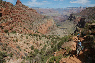 Dayhikers on Bright Angel Trail