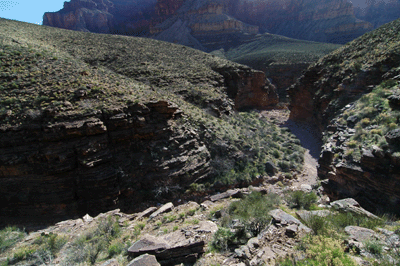 A view into the west arm of Tuna Creek Canyon
