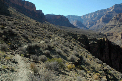 The Tonto trail winds its way through Grapevine Canyon