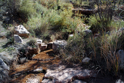Cool, clear water flows from the spring in the east arm of Grapevine