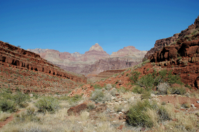 The view north from Mineral Canyon's creekbed