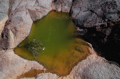 The green water pothole just below the Tonto Trail East junction