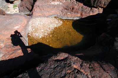 A more appealing water pothole in the Schist in Bass Canyon