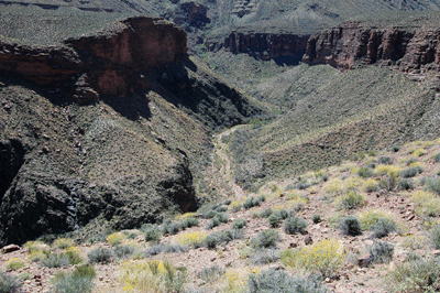 A view into Boucher Canyon