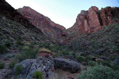 Looking up canyon towards the Redwall ascent