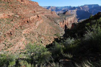 Looking north towards Whites Butte from the Boucher Trail in the Supai