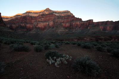 The first light of day touches the rim above Ruby Canyon