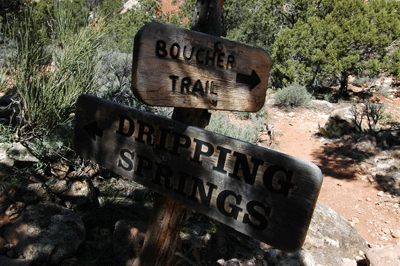 The junction of the Boucher and Dripping Springs trails