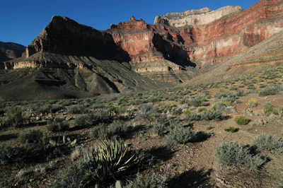 Entering Jasper Canyon from the north along the Tonto Trail