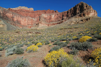 Looking north through a drainage above Turquoise Canyon