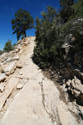 Hiking up through the Kaibab Limestone on the Hermit Trail