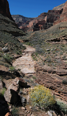 Looking back towards the head of Turquoise Canyon