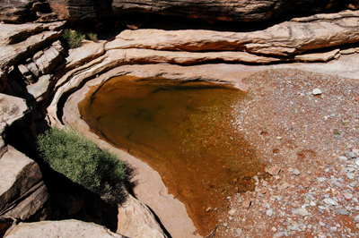 Pothole water in Sapphire Canyon