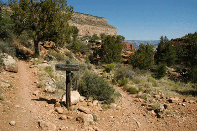 Junction with Dripping Springs Trail