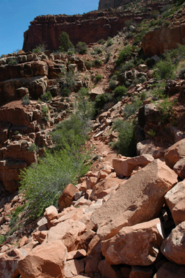 Rock slide across the Hermit Trail