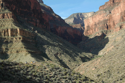 Hikers crossing the Tonto