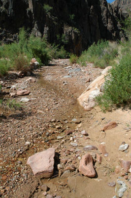 Monument Creek's weak flow near the Colorado River