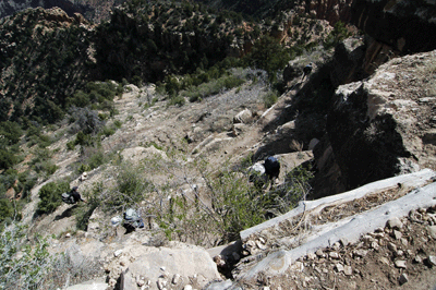 Switchbacks in the Kaibab on Grandview Trail