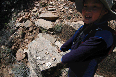 Checking out a collection of rock samples
