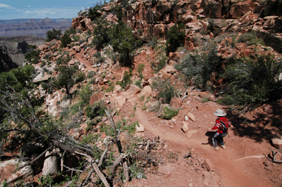 Hiking through the Muav