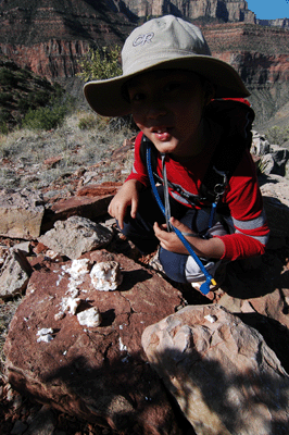 Examining some rocks on Horseshoe Mesa