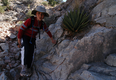 Bypassing an agave plant