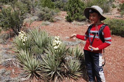 Matthew next to a blooming yucca plant