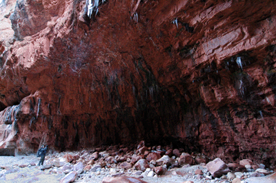 A cavernous hollow in lower Jumpup