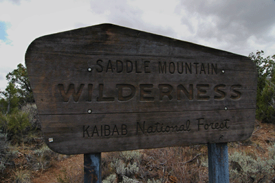 Saddle Mountain Wilderness sign along Trail #57