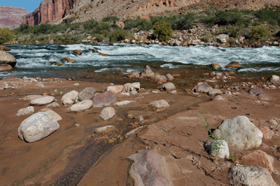 Kwagunt Creek flows into the mighty Colorado