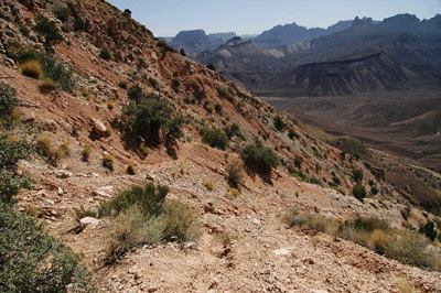 The Nankoweap Trail descends below Tilted Mesa