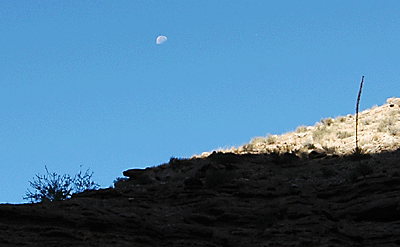 Moon, scrub and agave in Nankoweap