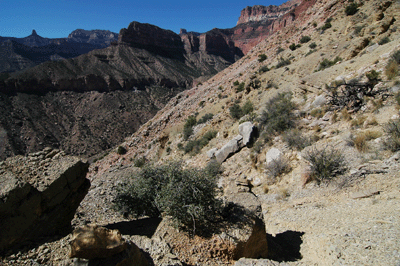 A view toward Marion Point from the Nankoweap Trail below Tilted Mesa
