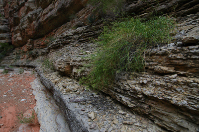 Crumbly ledges in Malgosa Canyon