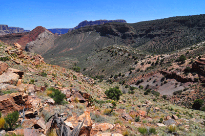 Looking southeast into Awatubi Canyon with a view of the route to Sixtymile Canyon