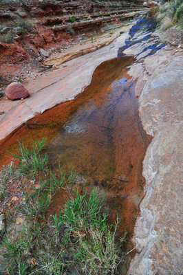 A strengthening flow in Vishnu Creek Canyon