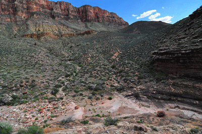 Above and west of the entrance to the Shinumo Quartzite narrows in Vishnu