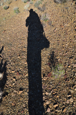 Self portrait in silhouette