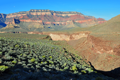 A view to the southwest through 'Double Disappointment' Canyon and across the Colorado River toward Lyell Butte and the South Rim of Grand Canyon
