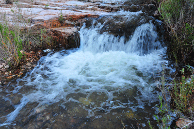 Cool, clear and strong flowing Clear Creek
