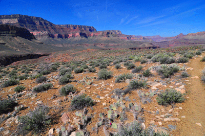 A view to the west across the Tonto platform of the South Rim of Grand Canyon