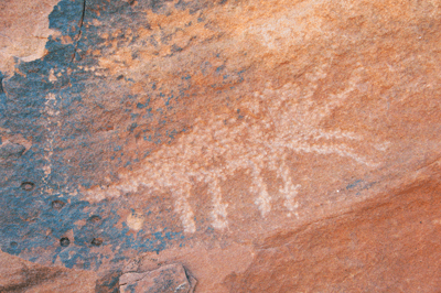 Scorpion petroglyph in Nankoweap Creek