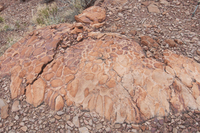 A weathered Precambrian stromatolite fossil along the descent route into Kwagunt