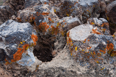Lichen covered stone in Kwagunt
