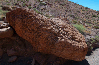 A large Precambrian stromatolite fossil boulder in East Carbon