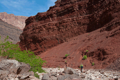 A river guide leads the way down Lava Creek to the Colorado River