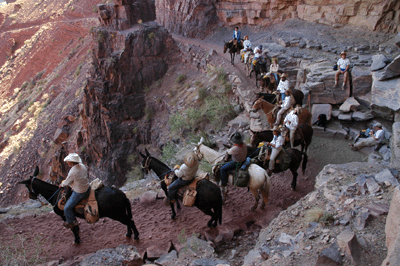 Phantom Ranch guests pause to enjoy the view from Big Shady