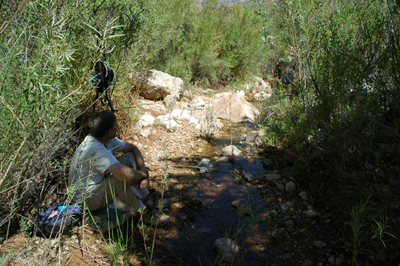 Dennis resting in the shade along Pipe Creek. A fellow hiker is just visible on the right through the brush