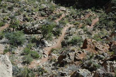 The trail through the Redwall along the east side of Horseshoe Mesa