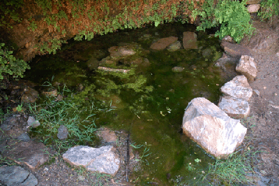 The collection pool at Miners Spring